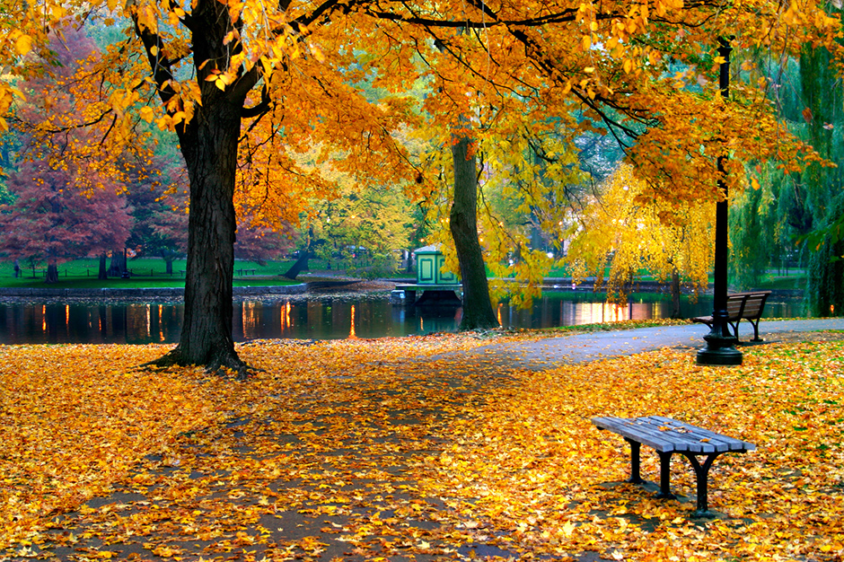 autumn in boston public garden