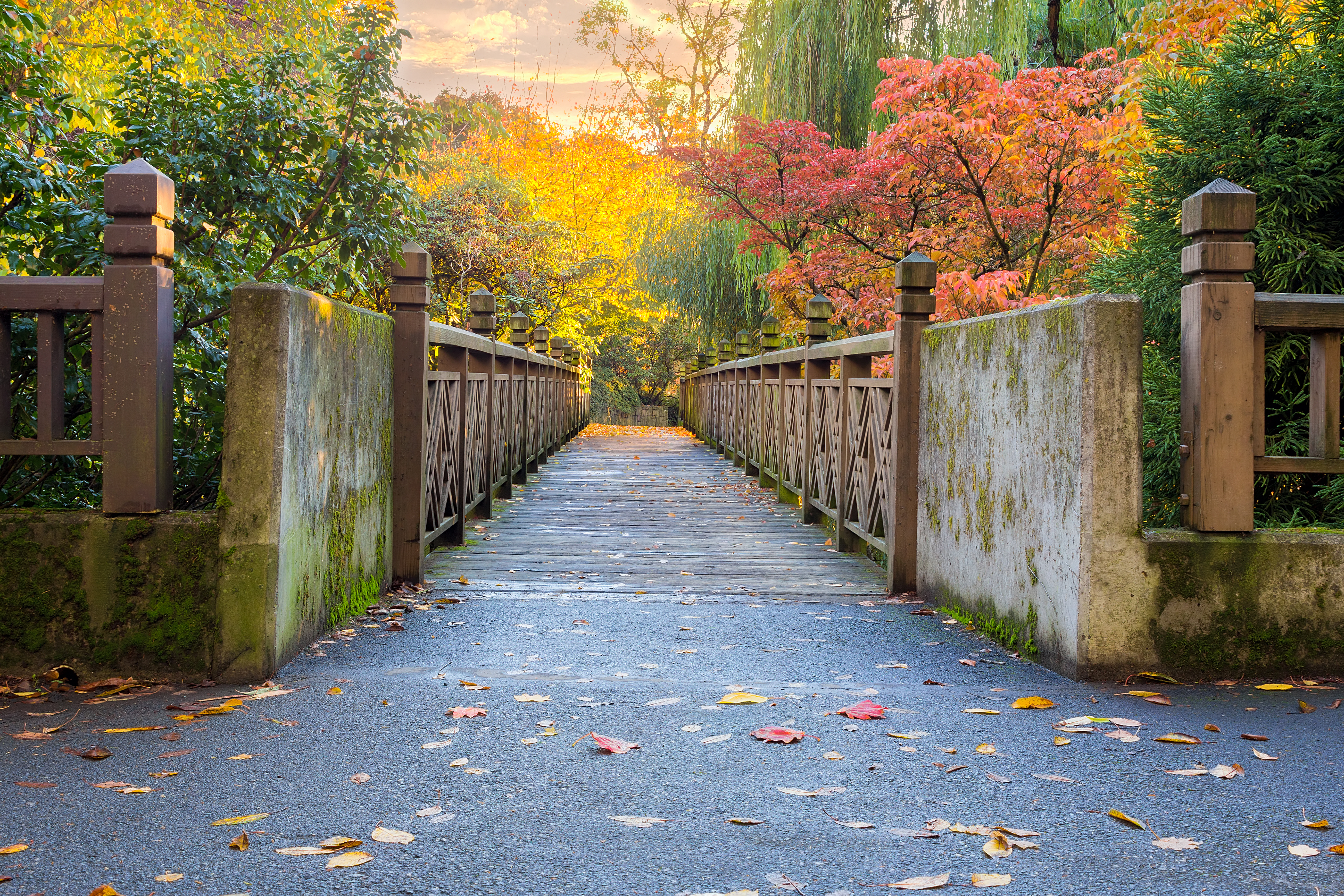 Portland in autumn