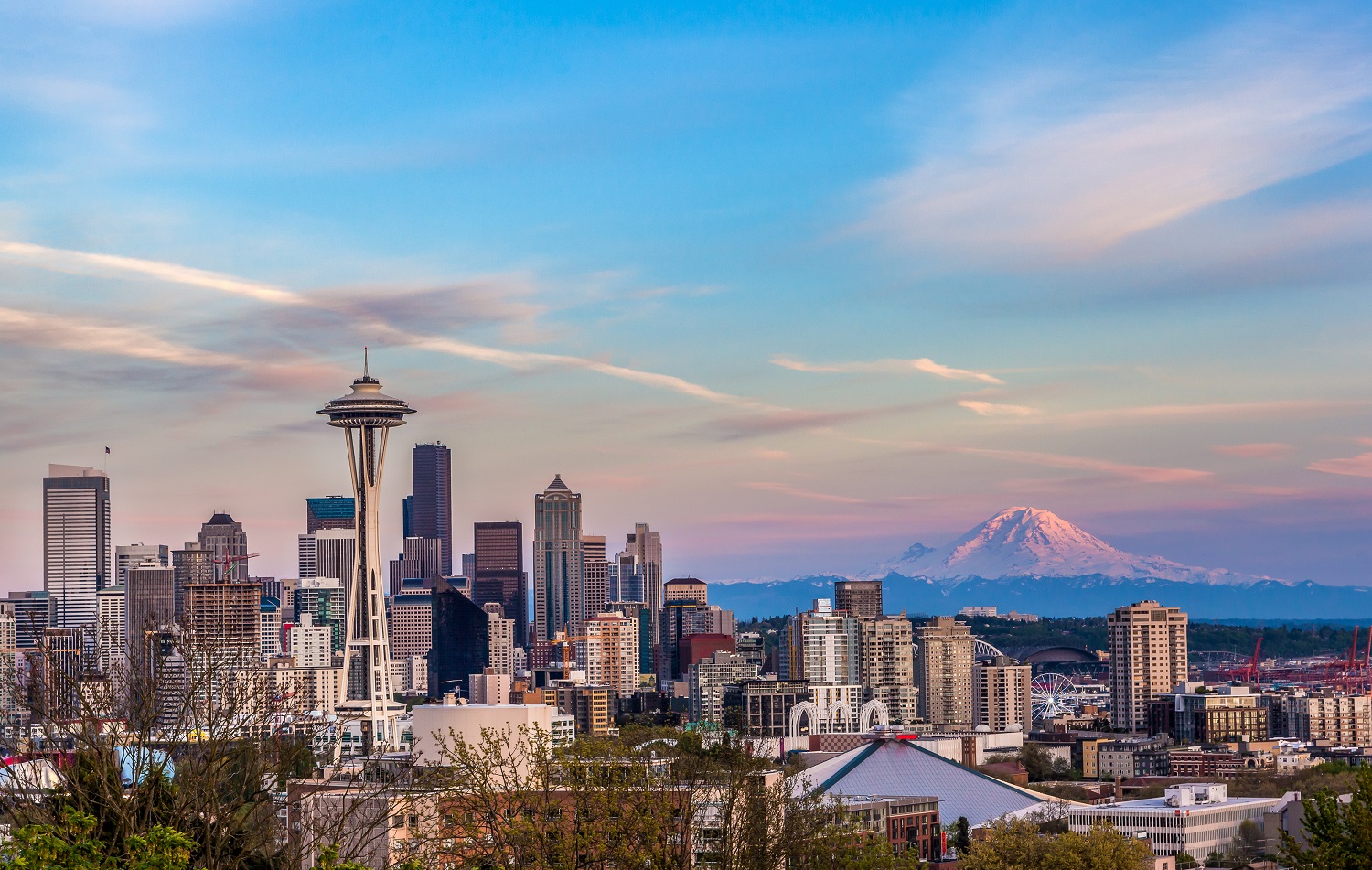 Seattle Skyline View