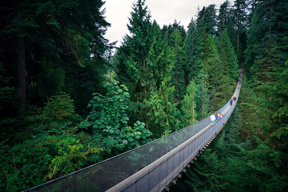 Capilano Suspension Bridge through trees in Vancouver 