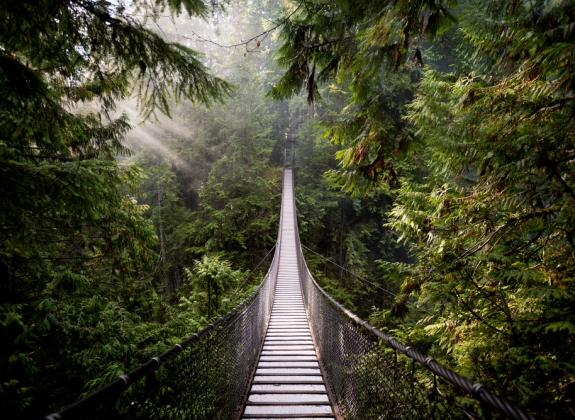Vancouver-Capilano-Suspension-Bridge