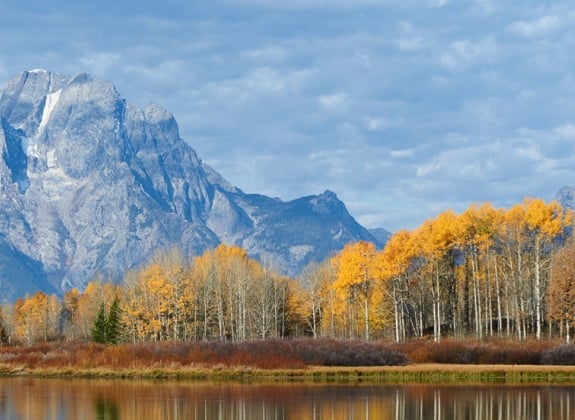 Yellowstone National Park