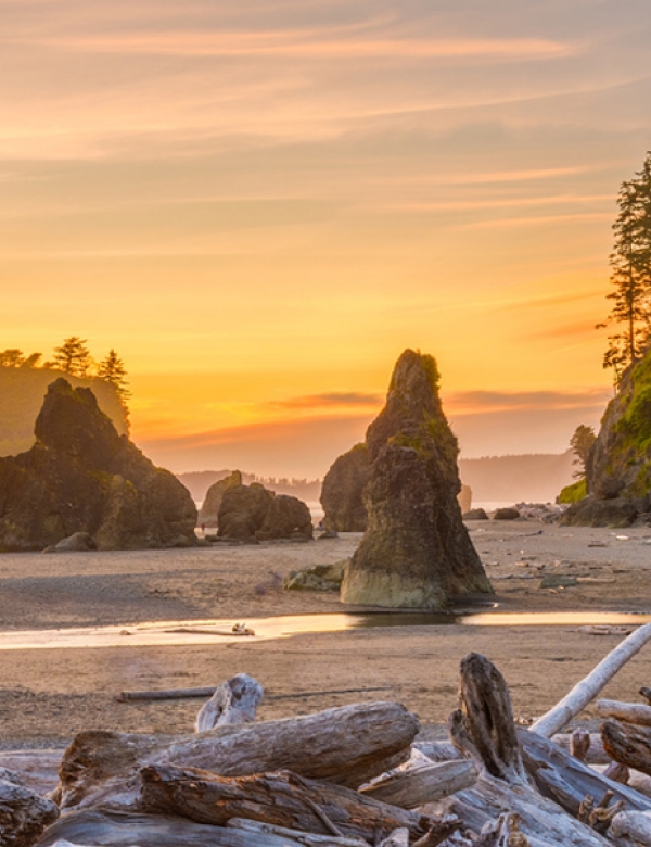 Olympic National Park
