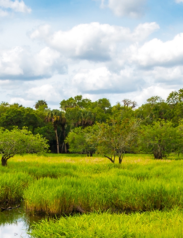 Florida Everglades National Park Hero 1