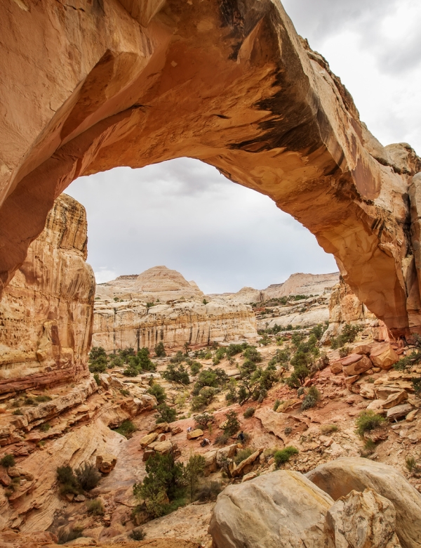 Hickman Natural Bridge Capitol Reef National Park Utah Spectacular view to Hickman Natural Bridge in Capitol reef National park in Utah, USA