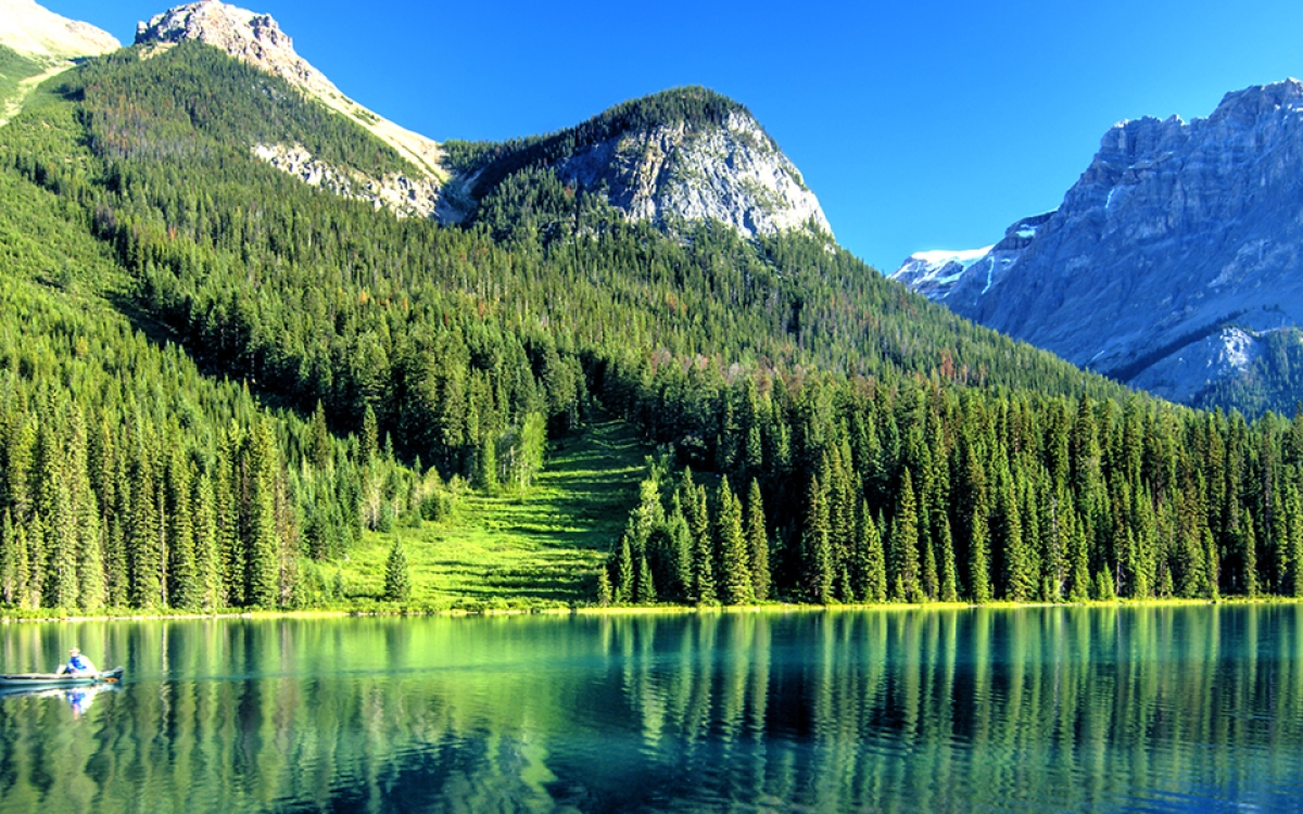 Banff Emerald Lake