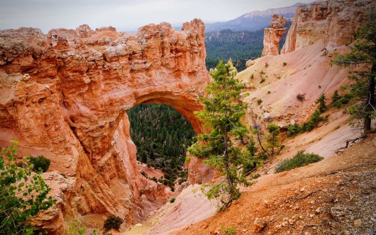 Bryce Canyon National Park (UT)