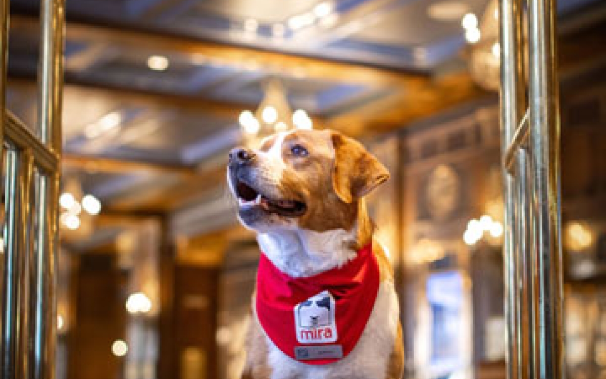 Fairmont-Chateau-Frontenac-jasper