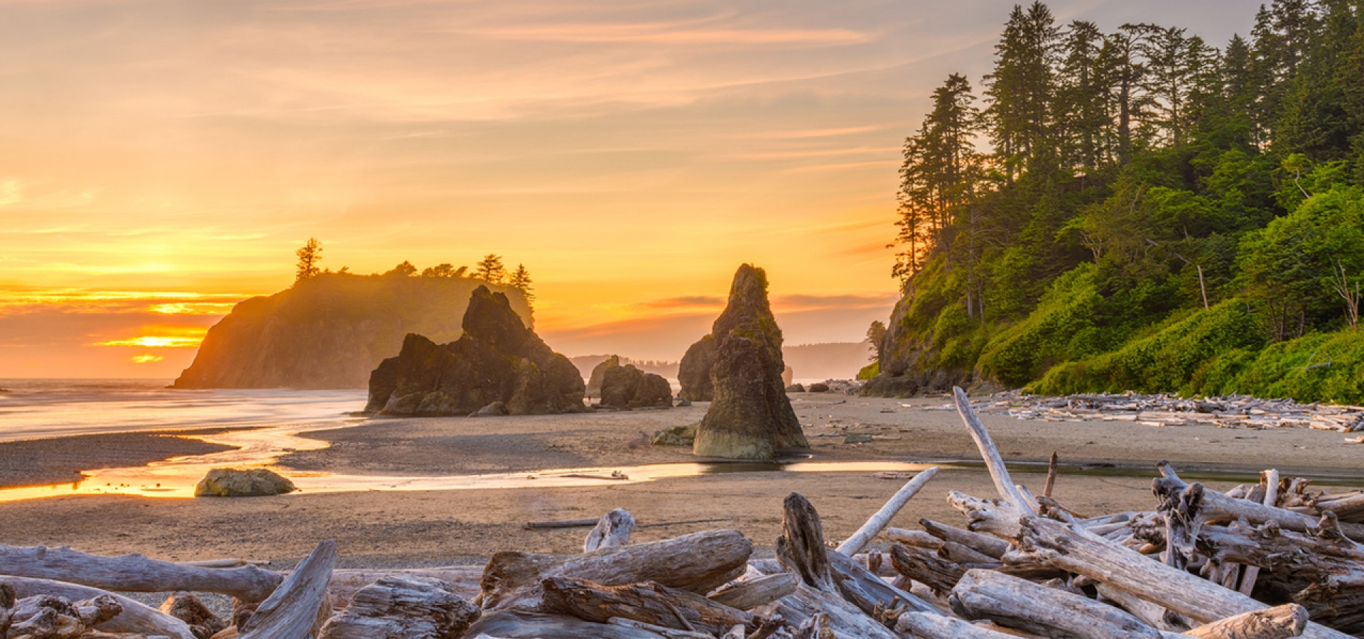 Olympic National Park beach view at sunset