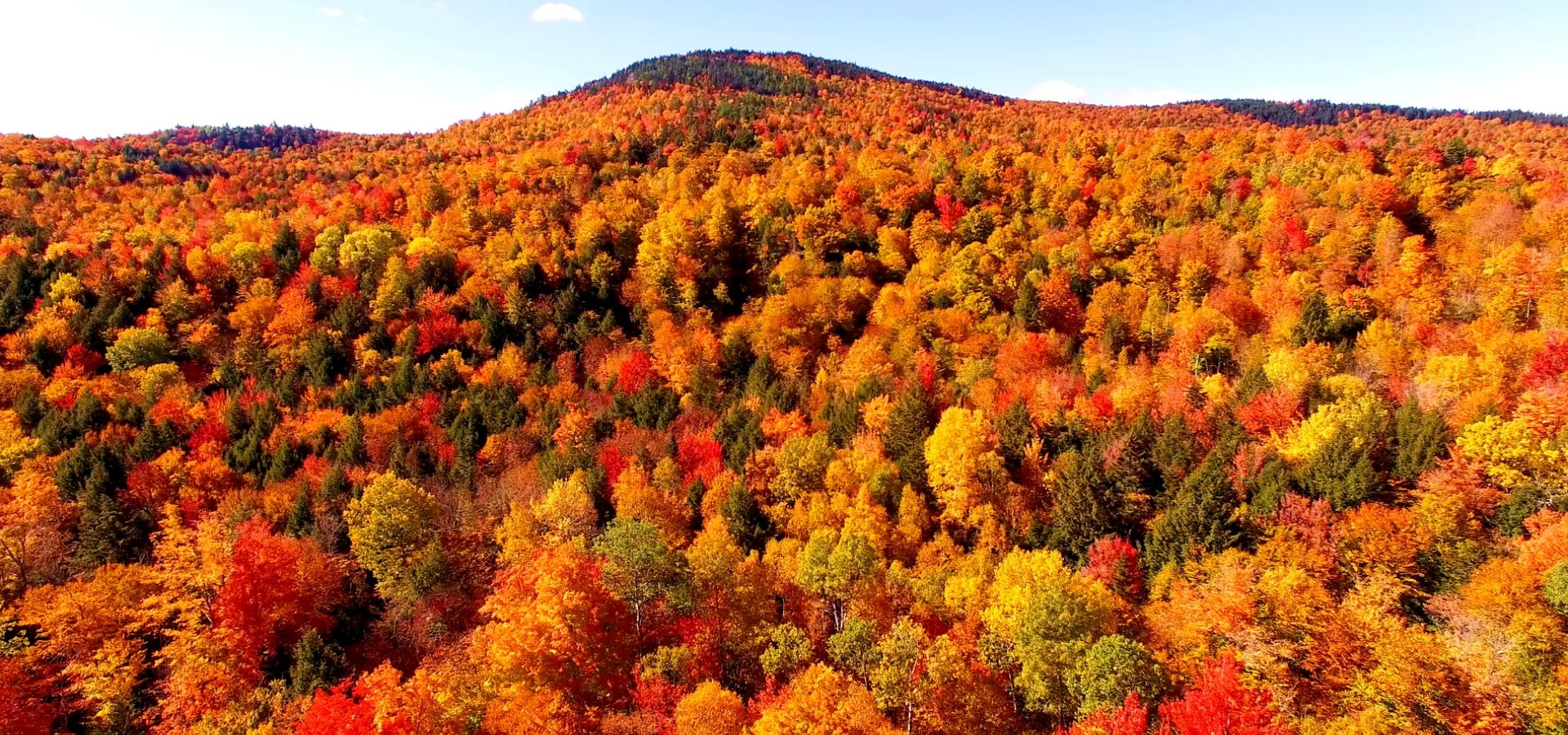 Fall Foliage Amtrak Vacations®