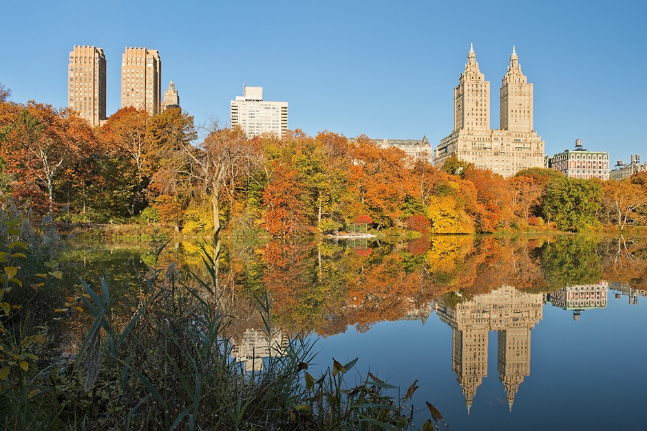 Autumn in Central Park, New York 