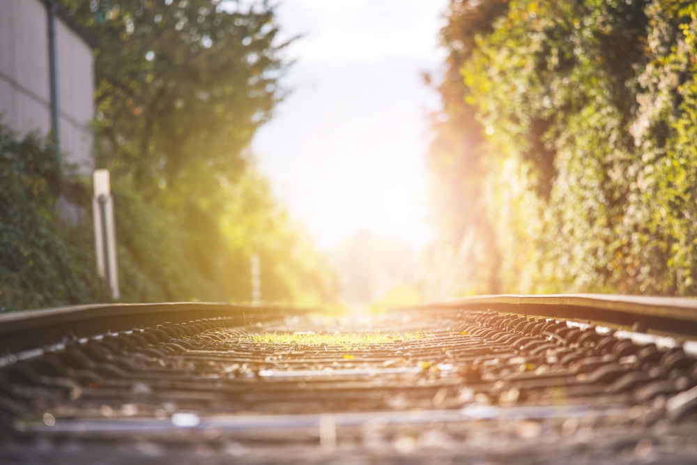railroad tracks surrounded by greenery